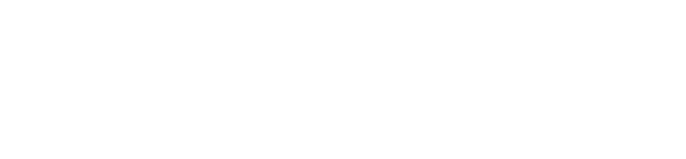 Integrator